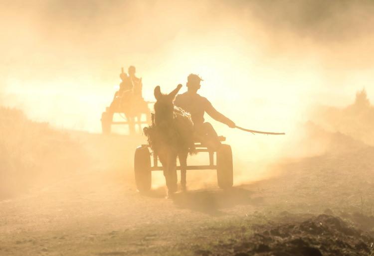 <p>&Ccedil;ocuk, kadın ve erkeklerden y&uuml;zlerce kişinin g&uuml;zel vakit ge&ccedil;irdiği bir organizasyon ger&ccedil;ekleşti. Yarın da Askani Yaylası&rsquo;nda g&uuml;zel bir şenlik d&uuml;zenlemeyi d&uuml;ş&uuml;n&uuml;yoruz.&nbsp;</p>
