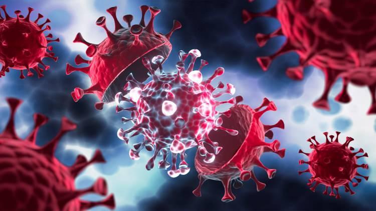 <p>Gizemli hepatite adenovirüsün sebep olabileceği varsayımının güçlü olmasına rağmen virüsün etiyolojisinin henüz tespit edilemediği vurgulandı. Vakalardan 181'inde adenovirüs, 188'inde de Kovid-19 bulunduğu aktarıldı.</p>

<p> </p>
