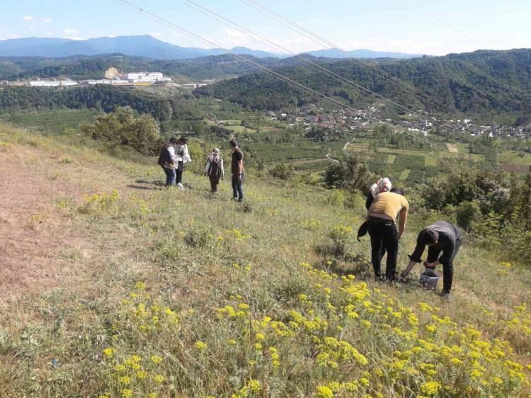 <p>Doğa Koruma ve Milli Parklar (DKMP) Zonguldak Şubesi tarafından, mayıs ayında yapılan kontrollerde ilçede, nesli tehlike altındaki salep soğanlarını toplayan 4 kişi tespit edildi. </p>
