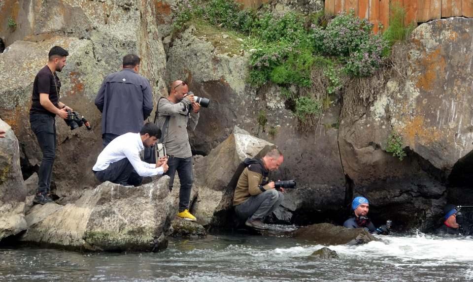 <p>Van Gölü'nün tuzlu ve sodalı suyunda yaşayan inci kefalleri, üremek için tatlı sulara göç ediyor. Alaska'daki somon balıkları gibi suyun akışının tersine doğru yüzen inci kefalinin üremek için başlattığı yolculuk, Van Gölü'ne akan tüm tatlı sularda devam ediyor. </p>