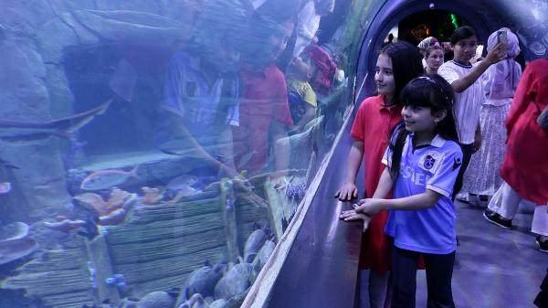 <p>. Hamsi, Trabzon&rsquo;un simgesi haline gelmiş, &ouml;zg&uuml;rl&uuml;ğ&uuml;ne son derece d&uuml;şk&uuml;n &ccedil;ok &ouml;zel bir t&uuml;rd&uuml;r. Bu nedenle de d&uuml;nyanın hi&ccedil;bir yerinde akvaryumlarda sergilenememektedir&rsquo; yazıldı.</p>
