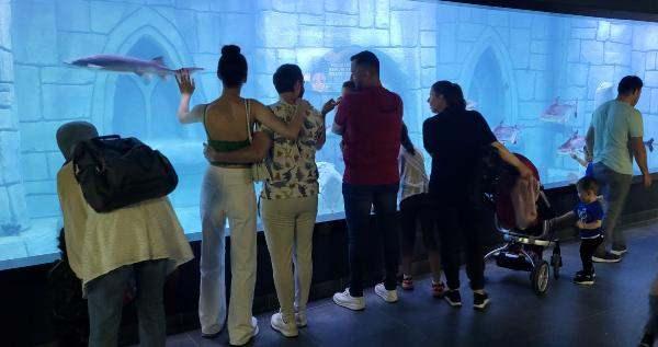 <p>Ama diğer akvaryumlarda olmayan bir tane t&uuml;r daha var. O da Afrika&rsquo;nın Malawi G&ouml;l&uuml;&rsquo;nden getirdiğimiz bordo mavi balıklarımız. Onlara da &lsquo;şampiyon balıklar&rsquo; ismini koyduk. Akvaryum &uuml;lkemize ve şehrimize değer kattı&rdquo; dedi.&nbsp;&nbsp;</p>
