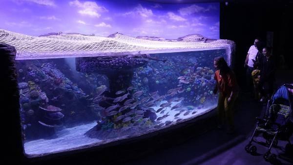 <p>Akvaryuma gelen ziyaret&ccedil;ilerden&nbsp;B&uuml;şra Karslı, &ldquo;&Ccedil;ok g&uuml;zel bir proje olmuş. &Ouml;zellikle &ccedil;ocuklarımız i&ccedil;in olduk&ccedil;a dikkat &ccedil;ekici oluyor. İ&ccedil;eride bulunan balıkların hi&ccedil;birini daha &ouml;nce g&ouml;rmemiştim. &Ccedil;ok heyecanla gezdim akvaryumu" dedi.&nbsp;</p>
