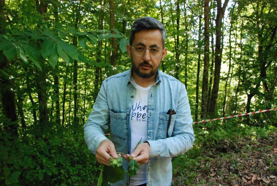 <p><strong>'ZARARLI BÖCEĞİ YÖNTEMLERİMİZLE AZALTMAYI DÜŞÜNÜYORUZ' </strong></p>

<p>Bartın Orman Fakültesi’nde görevli Doç. Dr. Yıldız, gal arısı ile mücadelenin zorlu olduğunu söyleyerek, “2020 yılında tespit ettiğimiz zararlı böcek, kestanenin çiçekli noktalarına ve sürgünlerine yumurtalarını bırakarak, çiçek ve meyve verimini engelliyor. Dolayısıyla bölgemiz için önemli olan başta kestane balı olmak üzere kestane meyvesinin yetişmesinde büyük sıkıntılar yaratıyor. </p>
