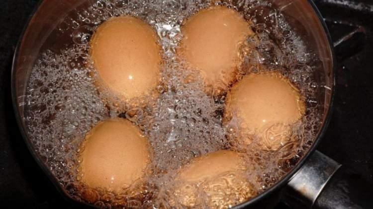 <p><span style="color:#B22222"><strong>Yemeklere, tatlılara kattığı lezzetin yanısıra yumurta aynı zamanda kabuğuyla da oldukça faydalı besinlerden biridir. Yumurta suyununda bitkilere iyi geldiği bilinmektedir. Peki, yumurtayı sirkenin içinde bekletirseniz ne olur? İşte detaylar:</strong></span></p>
