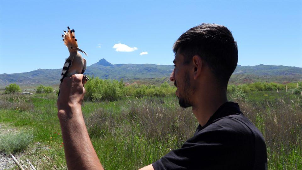 <p> Iğdır'da 16 yıl önce kurulan ve şu ana kadar yapılan çalışmalarla 313 kuş türünün kayıt altına alındığı Aras Kuş Cenneti'nde 155 binden fazla kuş halkalandı.</p>