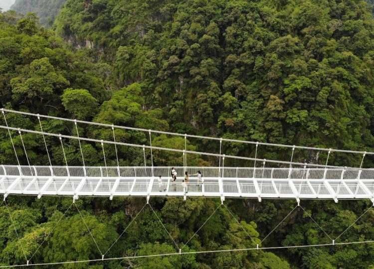 <div>Bir önceki rekor Çin''in Guangdong eyaletindeki 526 metre uzunluğundaki köprüye aitti.</div>