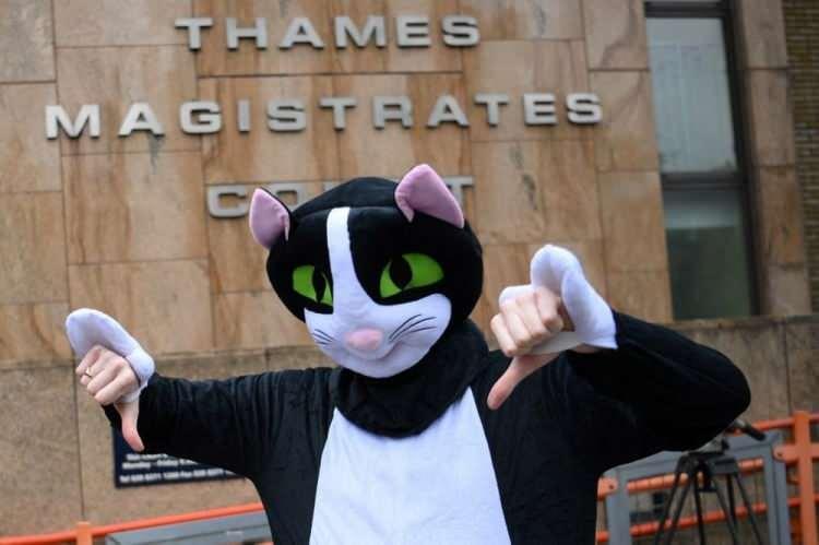 <p><span style="color:#000000"><strong>Hakkında dava açılan Zouma, geçtiğimiz gün Thames Sulh Ceza Mahkesi'nde kedi kostümü giyen bir protestocu tarafından karşılandı.</strong></span></p>