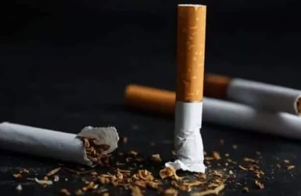 <p>Fransa: Yüzde 24</p>

<p> </p>
