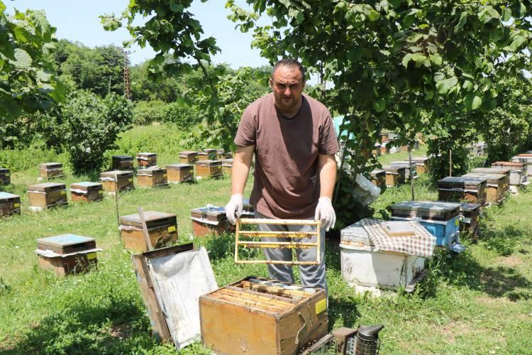 <p><strong>“10 KİLO ARI SÜTÜNDEN 150 BİN TL KAZANMAYI UMUYORUM”</strong></p>
<p><br />
Samsun’da arıcılık yapan Gültekin Bozkurt, her yıl daha fazla arı sütü ürettiğine dikkat çekerek, “4 yıldır arı sütü üretiyorum.</p>