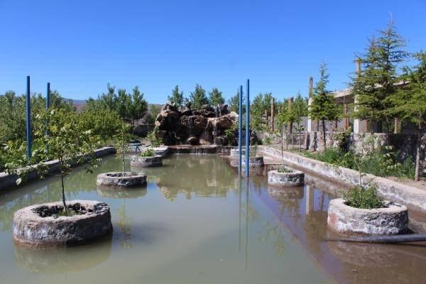 <p>Etrafını çevirdiği arazide sulama sistemi de kuran Ardin, 3 bini meyve olmak üzere 5 bin ağaç dikti. Ağaçlara gözü gibi bakan Ardin, bozkırın ortasında yeşilin her tonunun yer aldığı bir orman oluşturdu.</p>