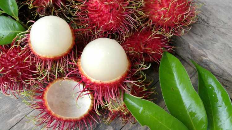 <p><strong>* RAMBUTAN</strong></p>

<p><strong>Virüs gibi bir görüntüsü olan rambutan lezzetli bir tropik meyvedir. Tatlı oranı yüksek olmasıan rağmen diyabet hastaları bile kolaylıkla tüketebilir. </strong></p>
