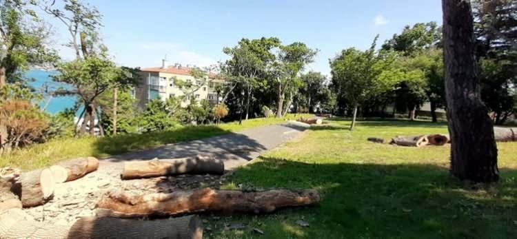 <p>Çırağan'daki asırlık çınarları tek tek kesen İBB, bu kez Emirgan Korusu'ndaki dişbudak ağaçlarına dadandı. Korudaki 54 ağaç testereyle kesildi. İhbar üzerine koruya baskın yapan Orman İşletme Müdürlüğü ekipleri, ağaç katliamını durdurdu.</p>
