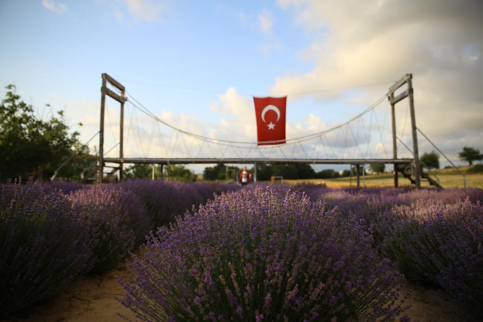 <p>Farklı konseptlerde hazırlanan lavanta bahçeleri, doğal fotoğraf stüdyosu oluşturması nedeniyle İstanbul ve çevre illerden yoğun ziyaretçi akınına uğradı.</p>
