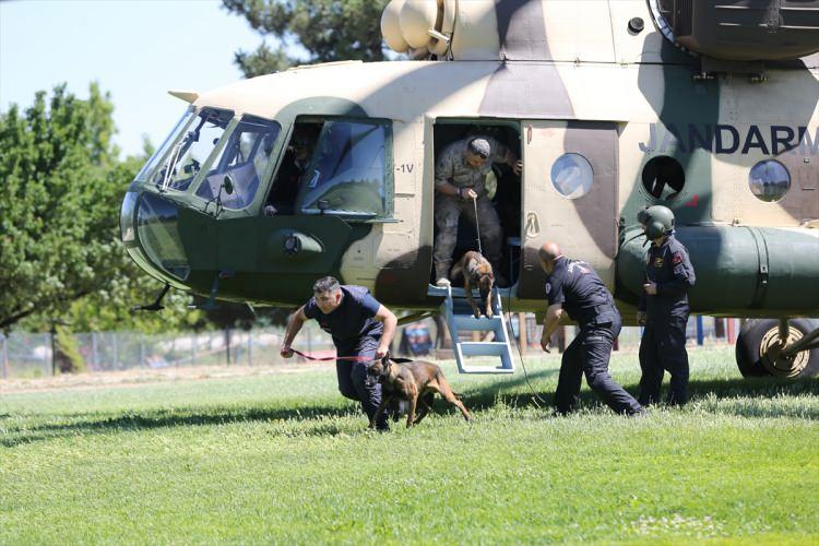 <p>Bu nedenle köpeklerimiz helikoptere binme ve inme eğitimleri sayesinde hava araçlarına, çıkan yüksek ses ve rüzgara aldırış etmeden ve korkmadan yaklaşabilmektedir."</p>