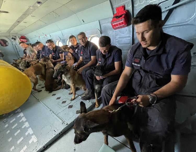 <p>Personelin özenle seçildiğini vurgulayan Tekin, "Kursiyer personelimizi, görev arkadaşları köpekleri çok seven ve onlarla iyi bir dostluk kuran, istekli jandarma personeli arasından belirleyip, çeşitli ön eleme testlerinden geçirmek suretiyle seçiyoruz. Kursu başarıyla bitiren personel eğittiği köpeği ile birliğine sevk edilmektedir." diye konuştu.</p>