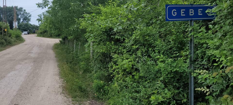 <p>Bir komşumuz ayı ile göz göze geldi. Milli Parklardan gelip orada kiraz ağacına kamera koydular. Bunun geçici çözüm olduğunu düşünüyoruz. Bizim can güvenliğimiz yok. Bir komşumuz bize telefon etse, rahatsızım yanıma gel dese evden çıkamayacağız. Kapıları açamıyoruz. </p>
