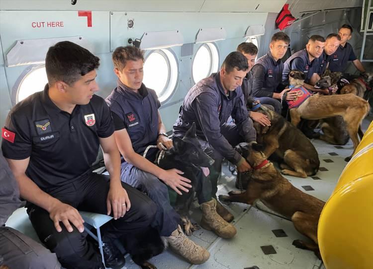 <p>Köpekler, her türlü şart ve durumda görev yapabilecek şekilde eğitiliyor JAKEM Arama Kurtarma Köpek Eğitim Kısımı Komutanı Jandarma Astsubay Kıdemli Üstçavuş Sevinç Uğurateş de köpeklerin, yurt içi ve dışındaki operasyonel görevlerde başarı sağlaması amacıyla çeşitli eğitimlere dahil edildiğini dile getirdi.</p>