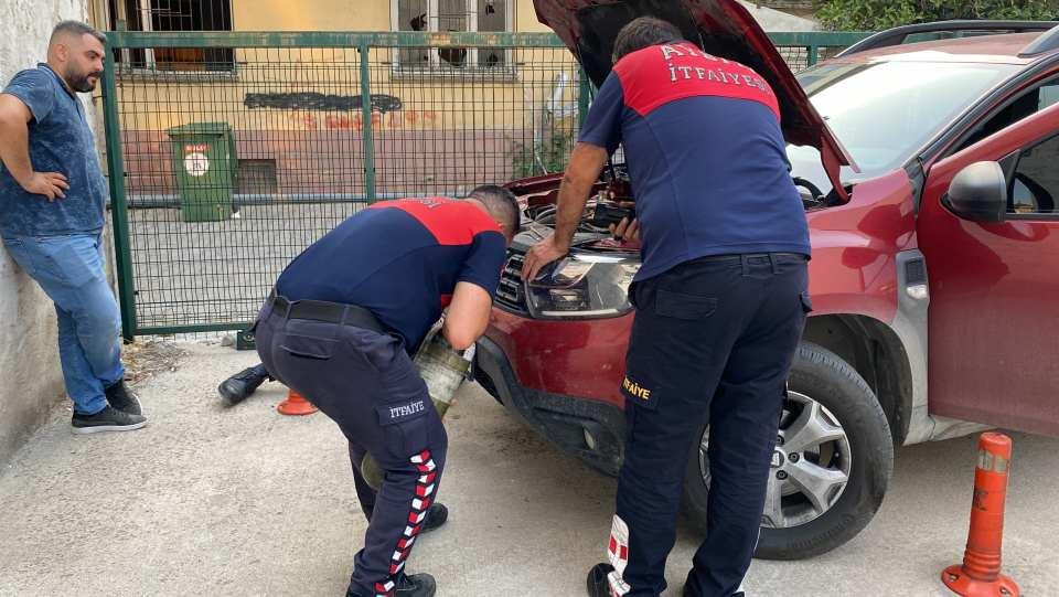 <p>Yaklaşık yarım saat süren çalışma sonucunda yavru kedi ekipler tarafından bulunduğu yerden kurtarıldı. </p>