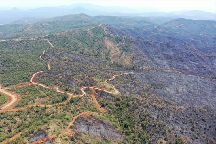 <p>Muğla'nın Marmaris ilçesinde çıkan orman yangınına müdahaleler havadan ve yerden sürerken zarar gören alanlar havadan görüntülendi. Alevlerin etkili olduğu alandaki ormanda büyük zarara yol açtığı görüldü.</p>

<p> </p>
