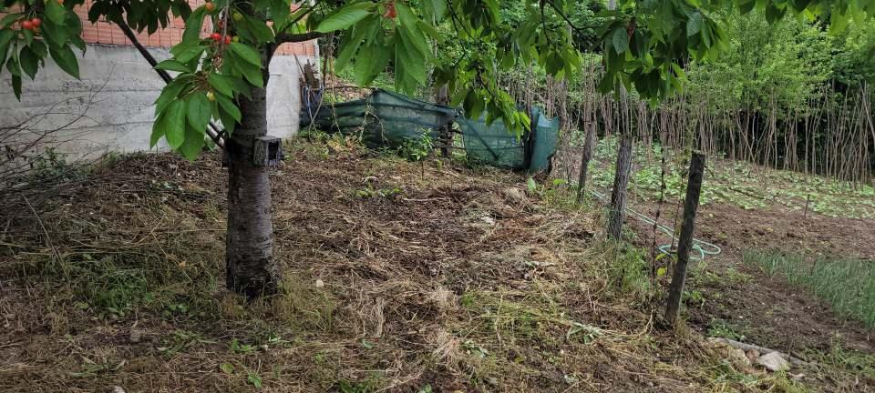 <p>Kastamonu’nun Cide ilçesine bağlı Gebeş Mahallesi’nde son zamanlarda ayılar, meyve ağaçlarına çıkarak zarar vermeye başladı. Ayrıca arı kovanlarını da parçalayan ayılar, gündüz vakti de mahalleye kadar indi. </p>
<p> </p>