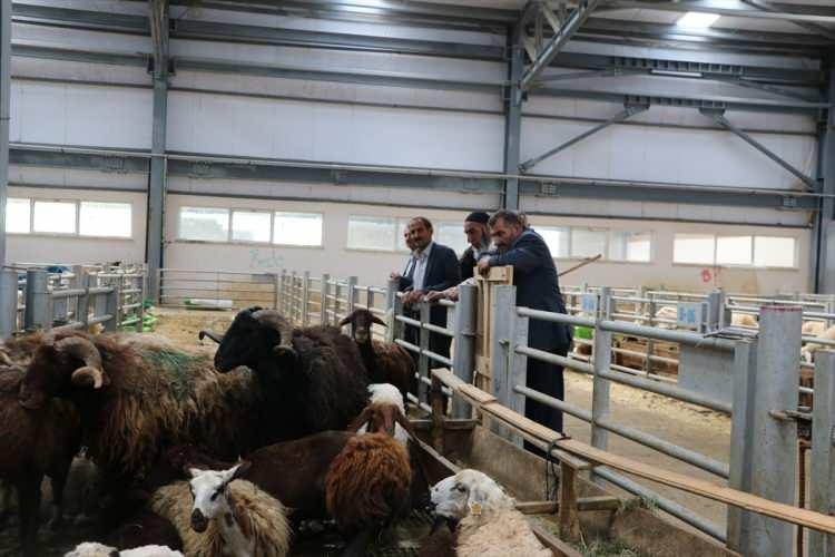 <p>"Gerek uyulması gereken hususları gerekse doğru bilinen yanlışları vurgulamak ibadetin sıhhati açısından önem arz etmektedir."</p>
<p> </p>