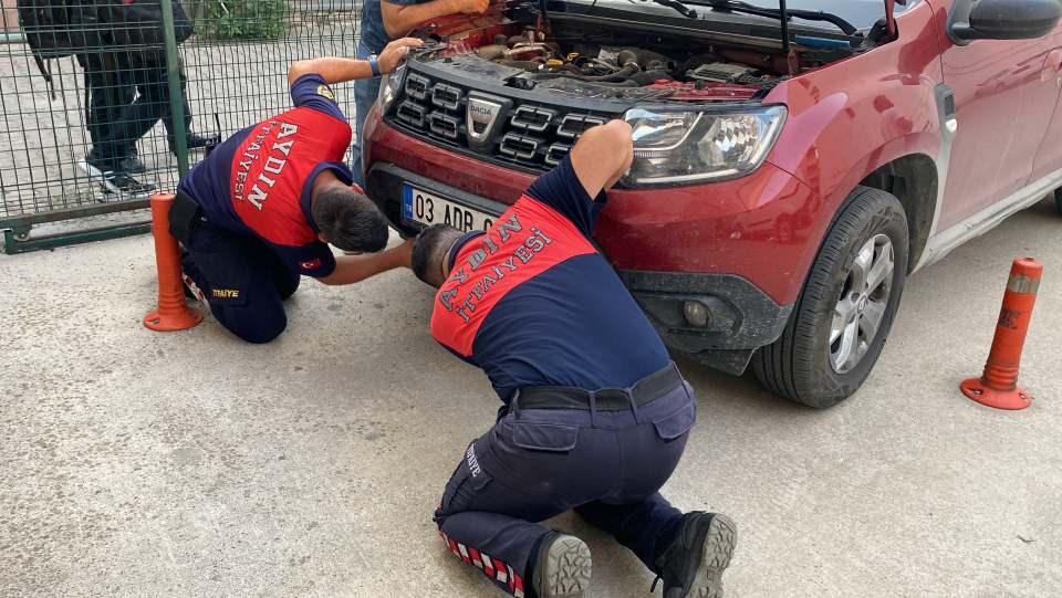 <p> Kısa sürede olay yerine gelen Aydın Büyükşehir Belediyesi İtfaiye Daire Başkanlığı ekipleri kediyi otomobilin motor bölümünden çıkartmak için çalışma başlattı. </p>