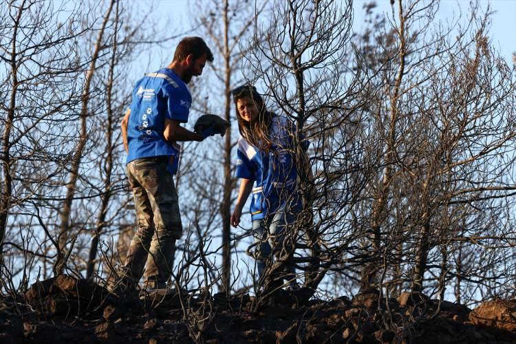 <p>Çalışmalarda çok sayıda kaplumbağayı saklandıkları yerlerden çıkardıklarını vurgulayan Tığoğlu, şöyle konuştu:</p>

<p>"Yangında en talihsiz olan maalesef kaplumbağalar oluyor. Tavşanları bizden kaçarken gördüğümüzde zarar görmemiş olduklarına seviniyoruz. Küllerin arasında artık onlar gibi düşünerek hareket ediyoruz.</p>
