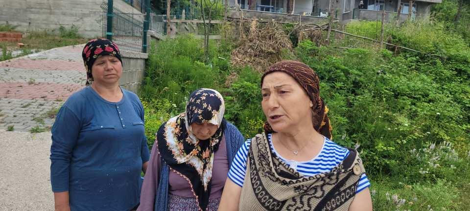 <p>Mahallemizin mezarlığında çalışanlar vardı. Geri dönüp onların yanına gittim. Sessizce mezarlığa girdim ve iki tane ayı var dedim. Oradan sağ olsun yanımda gelip beni buradan geçirdiler. Fotoğraflarını çekecektik ama kiraz ağacından bir anda inip ormanlık alana doğru kaçtılar. Bu olay öğle saatlerinde oldu. Artık biz çok rahatsız olmaya başladık. </p>