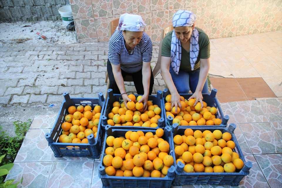 <p>Yaptıkları portakal kurularının aroması nedeniyle çok talep gördüğünü anlatan Sıkar, bu iş sayesinde aile bütçesin katkı sağladığını belirtti.</p>
<p> </p>