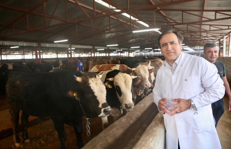 <p>"Bu bağlamda ‘Kesimsiz kurban bağışı’ vb. adlar altında yapılan bağışların hiçbir dini dayanağı bulunmamakta olup, söz konusu bağışlar kurban sayılmaz. Dolayısıyla toplumumuzdaki kurban anlayışını zedeleyecek bu tür uygulamalara itibar edilmemelidir."</p>

<p> </p>
