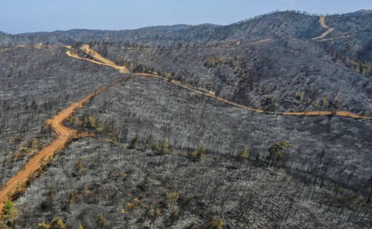 <p>Öte yandan, yanan alanlar ise dron ile görüntülendi. Alevlerin etkili olduğu alandaki ormanda büyük zarara yol açtığı görüldü.</p>

<p> </p>
