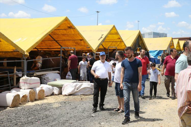 <p>Tokat'tan pazara 68 kurbanlık getiren Mehmet Şavkıran, iki gün içinde 20 kurbanlık sattığını söyledi.</p>