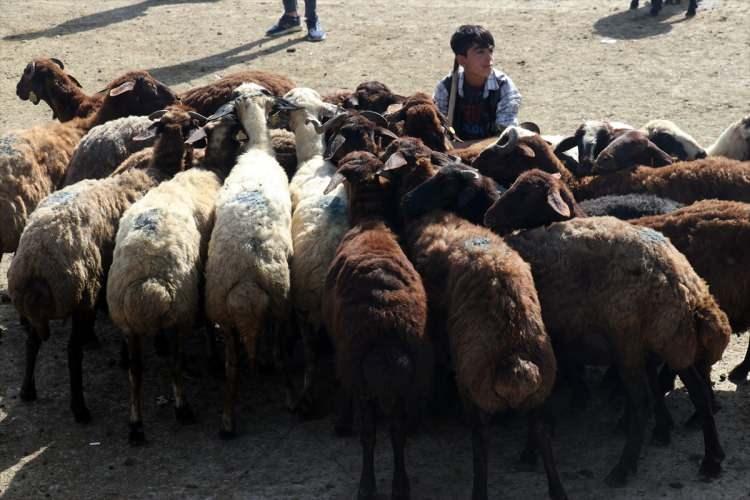 <p>“Kurban dini bir terim olarak, Yüce Allah’a yakınlık sağlamak ve O’nun rızasına ermek için ibadet maksadıyla, belirli şartları taşıyan hayvanı usulüne uygun olarak kesmeyi ve bu amaçla kesilen hayvanı ifade eder."</p>
<p> </p>