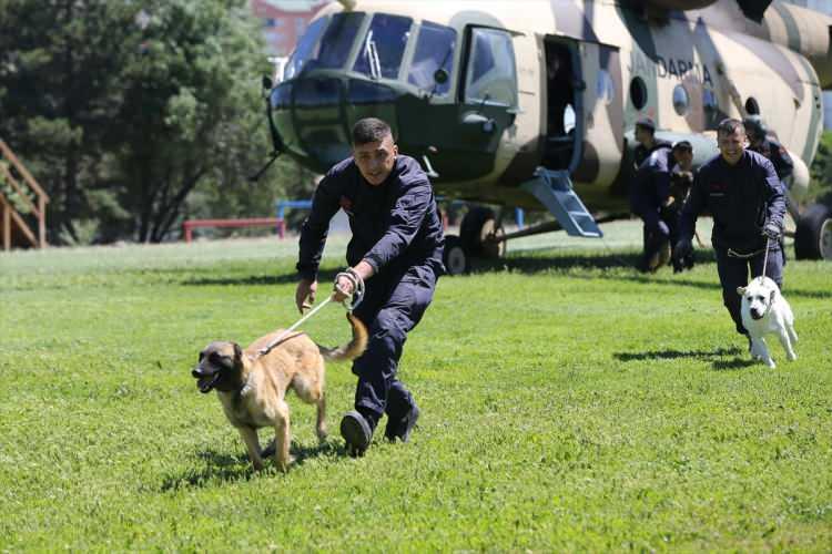 <p>Sadık dostumuz ve görev arkadaşlarımız köpekler, eğitim esnasında her türlü arazi ve hava koşullarında görevlerini yapmak üzere yetiştirildiğinden kara ve denizde olduğu gibi görev esnasında hava araçlarıyla da karşılaşabilmektedir. </p>
