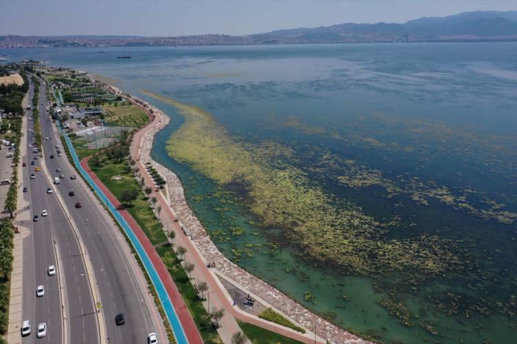 <p>İzmir'in Karşıyaka ilçesindeki Bostanlı kıyılarındaki bazı noktalar halk arasında "deniz marulu" olarak bilinen yosun türüyle kaplandı.</p>
