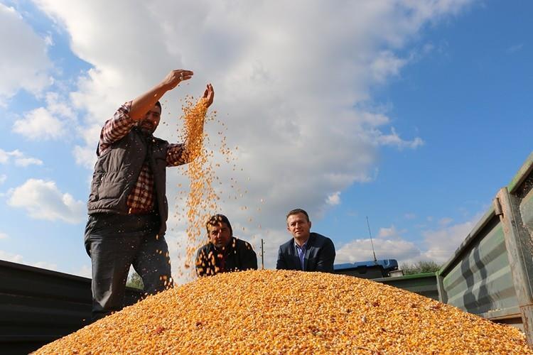 <p>Tarım ve Orman Bakanı Vahit Kirişci, Toprak Mahsulleri Ofisinin (TMO), hububat alım fiyatlarını ton başına buğdayda 400 lira, arpada 200 lira artırdığını bildirdi.</p>
