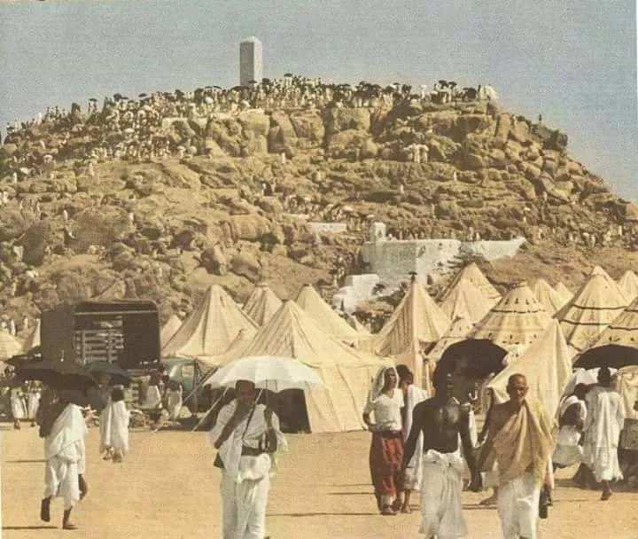 <p>Arafat Dağı’nın eteklerine kurulu olan çadırlar.</p>
<p> </p>
