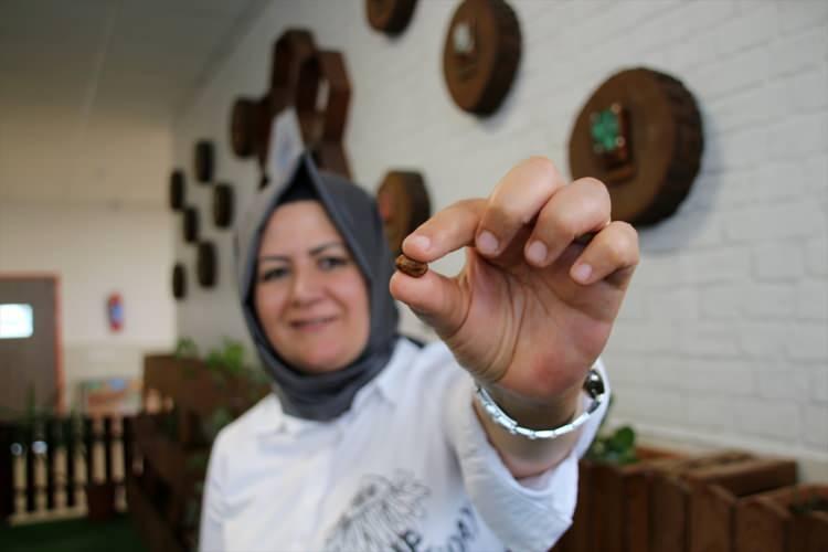 <p>Konya Beyhekim İmamhatip Ortaokulunda 2019'da faaliyete geçirilen "Tohum Kütüphanesi" projesiyle öğrenciler, ata tohumlarını geleceğe taşımak için çalışıyor.</p>