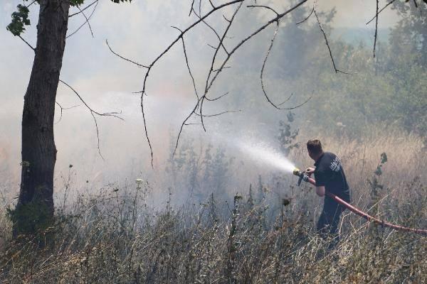 <p>Tekirdağ'ın Marmaraereğlisi ilçesinde çıkan yangında 30 dönümü ekili, 50 dönüm alan zarar gördü.</p>

