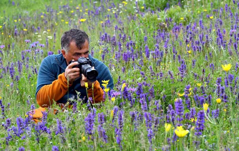 <p>Doğa fotoğrafçıları da çiçeklerin oluşturduğu güzel manzara ve kelebeklerin fotoğraflarını çekiyor.</p>
<p> </p>