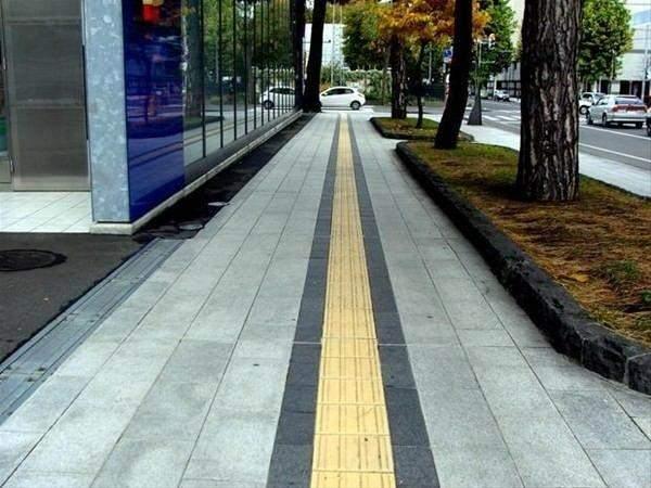 <p>Hemen hemen her yerde gördüğümüz bu sarı çizgilerin anlamını biliyor musunuz?</p>
<p> </p>