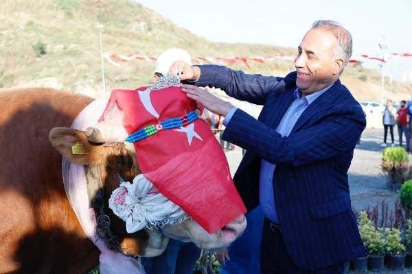 <p>Sultangazi’de kurulan kurban pazarında ‘en büyük ve güzel’ kurbanlıklar podyuma çıktı. Türkiye’nin farklı illerinden Kurban Bayramı için İstanbul’a getirilen kurbanlıkların süslenip podyuma çıkarıldığı yarışmada renkli görüntüler oluştu. </p>
