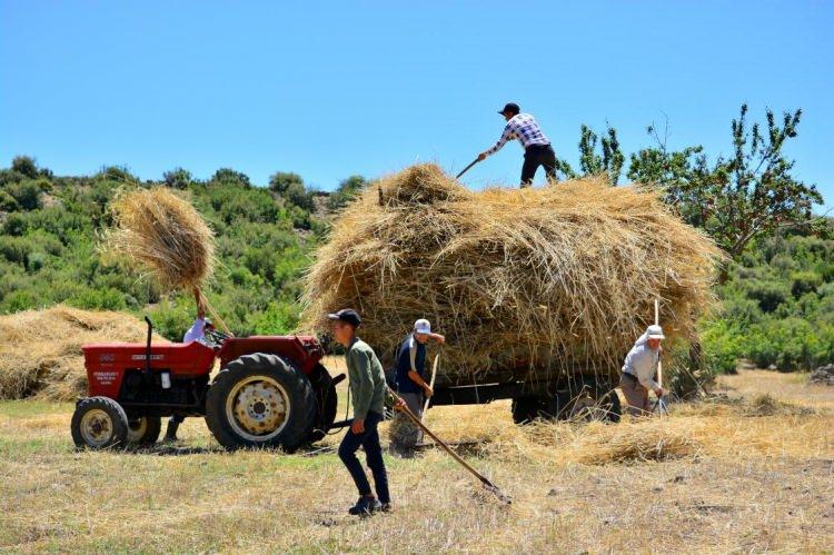 <p>"Tarım ve Orman Bakanlığımız tarafından buğday için ton başına 1000 lira, arpa için 500 lira olarak ödenecek 'Hububat Alım Priminden' üreticilerimizin yararlanmaları için ürünlerini en geç 1 Eylül 2022 tarihine kadar TMO'ya satmış olmaları gerekmektedir.</p>