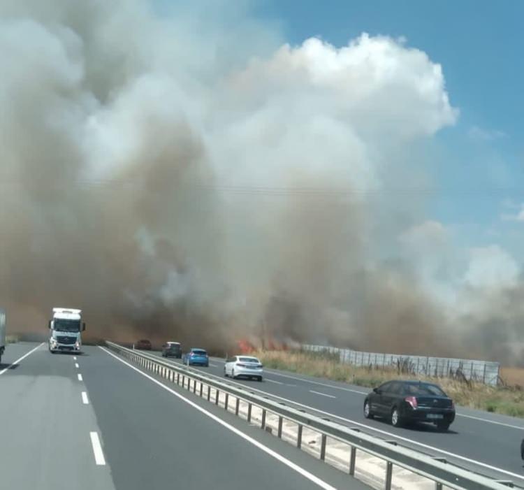<p>Otluk alana da yayılan yangın nedeniyle İstanbul - Tekirdağ yolu adeta dumanla kaplanırken, sürücüler ilerlemekte güçlük çekti. H</p>