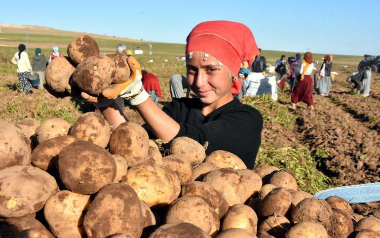 <p>Çağatay, “Türkiye’nin yaş ortalaması 32,6, Bitlis’in yaş ortalaması ise 23 civarında. </p>