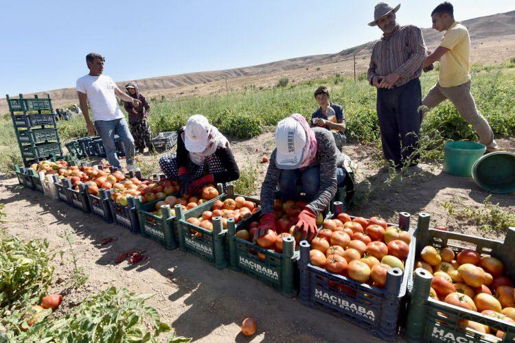 <p>Tabii biz bunun üretim kısmındaki sonuçlarını da almaya başladık. Birkaç gün önce yayınlanan rapora göre, geçtiğimiz yıla oranla son 6 ayda ihracatını en çok arttıran 4’üncü il Bitlis oldu. Geçtiğimiz yılın 6 aylık değerlendirmesine göre yüzde 95 seviyesinde bir artış var. </p>
