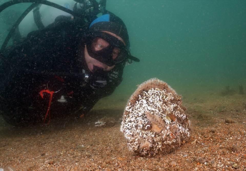 <p>Tahsin Ceylan ve ekibince gerçekleştirilen proje kapsamında, Gemlik Körfezi'nin su altı fauna, flora ve arkeolojik değerlerinin envanteri çıkarılarak, 194 sayfalık kitap hazırlandı.</p>
<p> </p>