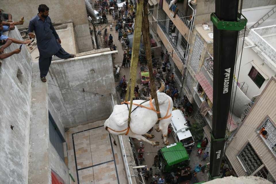 <p>Pakistan'ın Karaçi kentinde bazı besiciler, Kurban Bayramı öncesinde evlerinin çatısında besledikleri kurbanlıklarını vinç yardımı ile indirerek kurban pazarına götürüyor. </p>

<p> </p>
