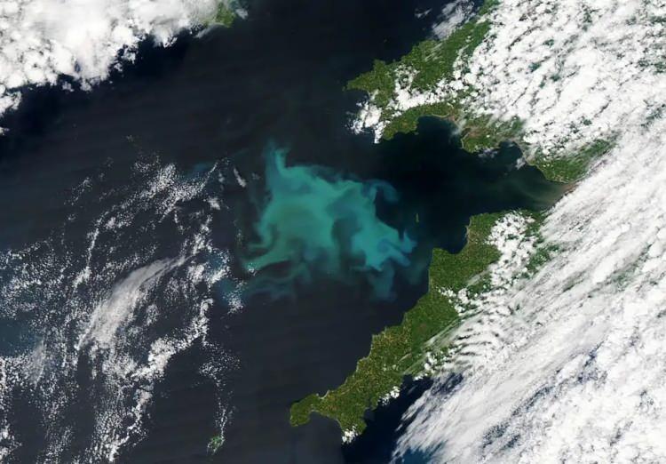 <p>Galler'in güney kıyılarındaki Bristol Kanalı'nda ortaya çıkan  yaz yosunu patlamaları.  NASA'nın Aqua uydusu 3 Haziran'da çekti. 4 Haziran'da Günün Görüntüsü olarak paylaşıldı.</p>
